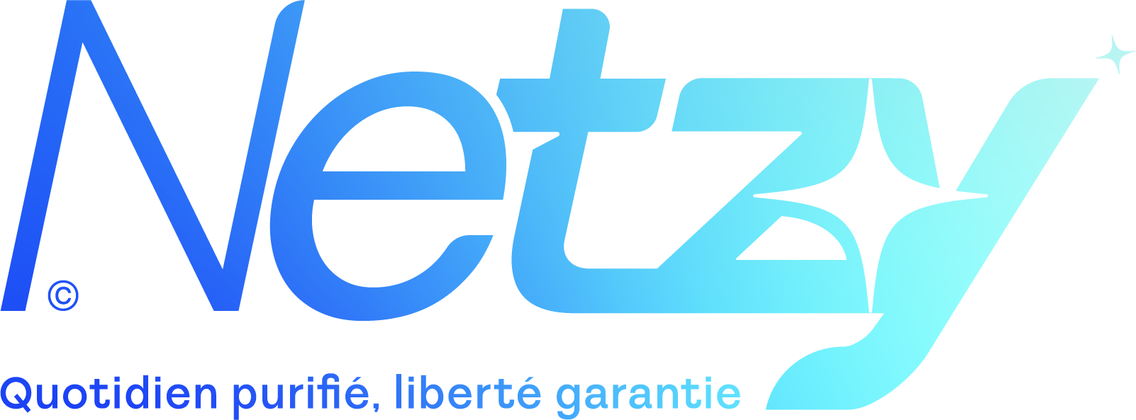 Netzy Logo